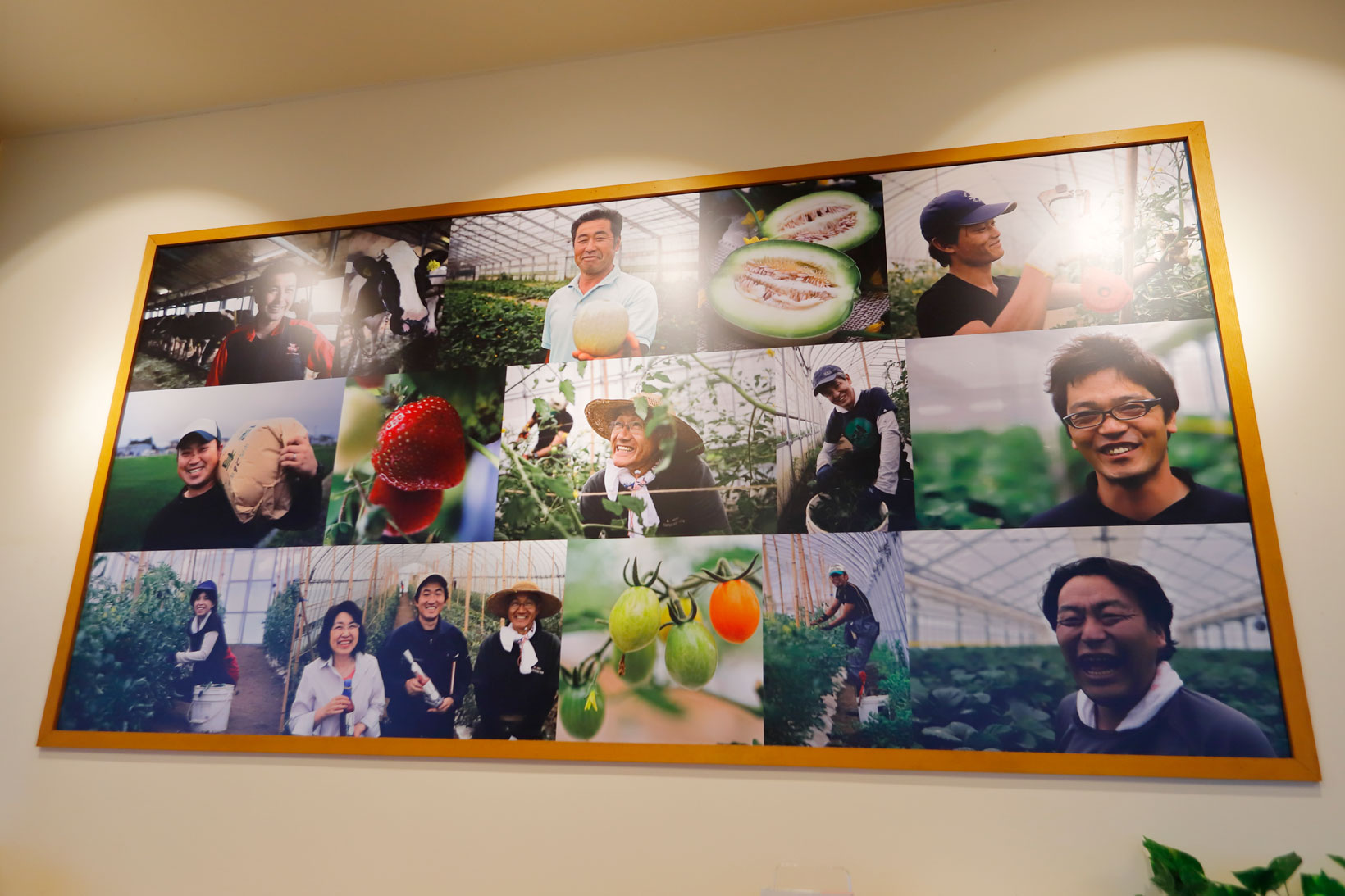 Gelateria Natu-Lino 画像03